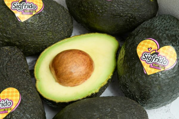 Caja 4kg Aguacate Hass Sigfrido - Imagen 4