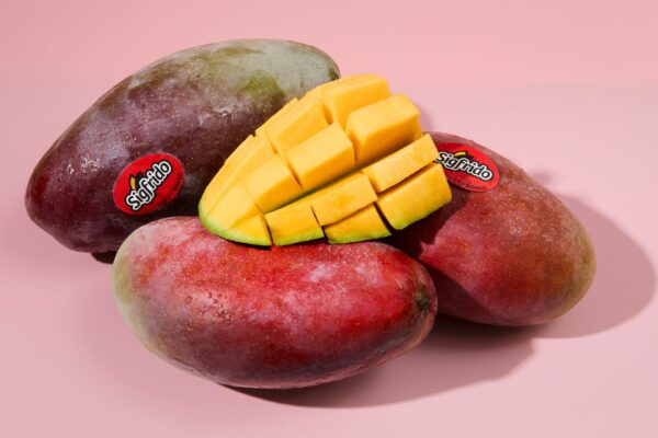 Caja 4kg Mango Tropical Sigfrido - Imagen 4