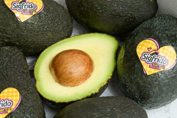 Caja  2kg Aguacate Hass Sigfrido - Imagen 4