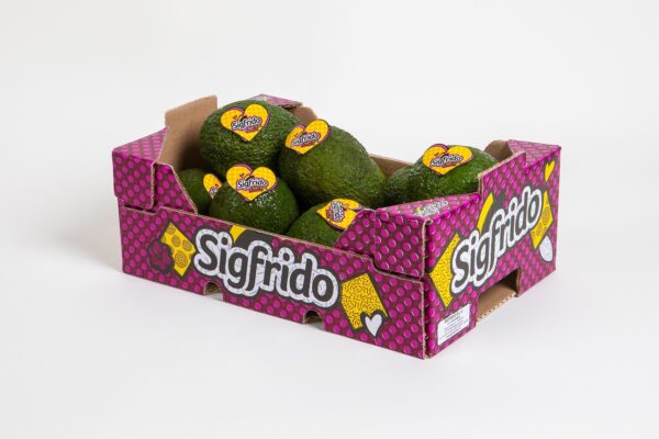 Caja  2kg Aguacate Hass Sigfrido - Imagen 3
