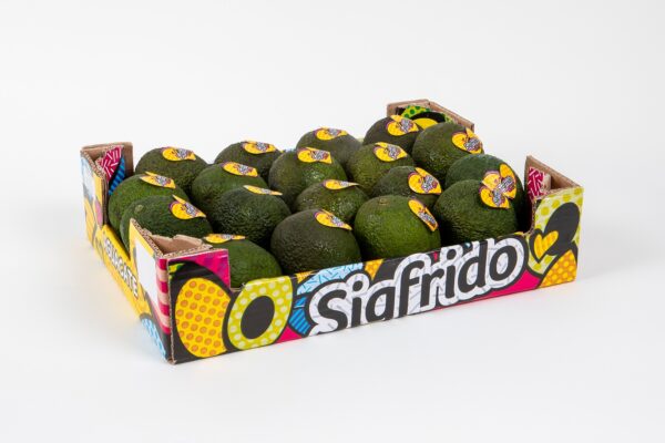 Caja 4kg Aguacate Hass Sigfrido - Imagen 3