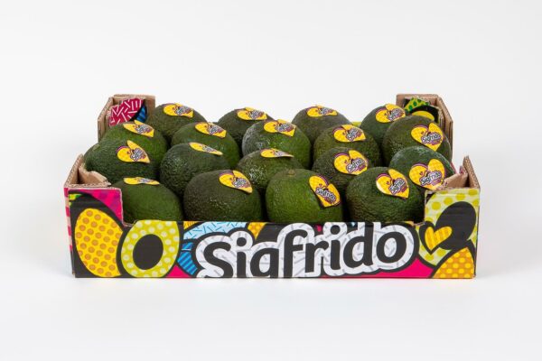 Caja 4kg Aguacate Hass Sigfrido - Imagen 2