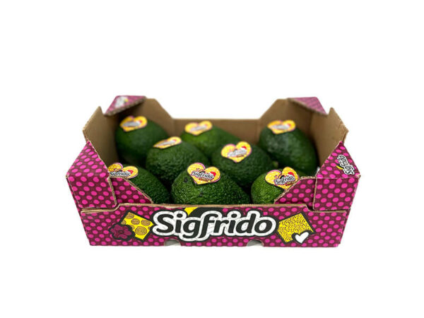 Caja  2kg Aguacate Hass Sigfrido - Imagen 2