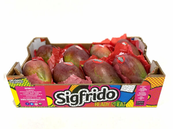 Caja 4kg Mango Tropical Sigfrido - Imagen 3