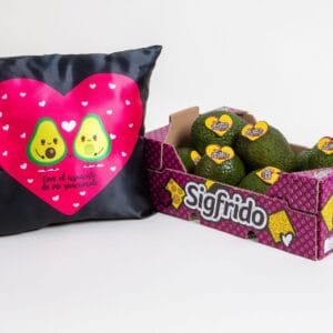 Caja Aguacates Grande + Cojín Solidario